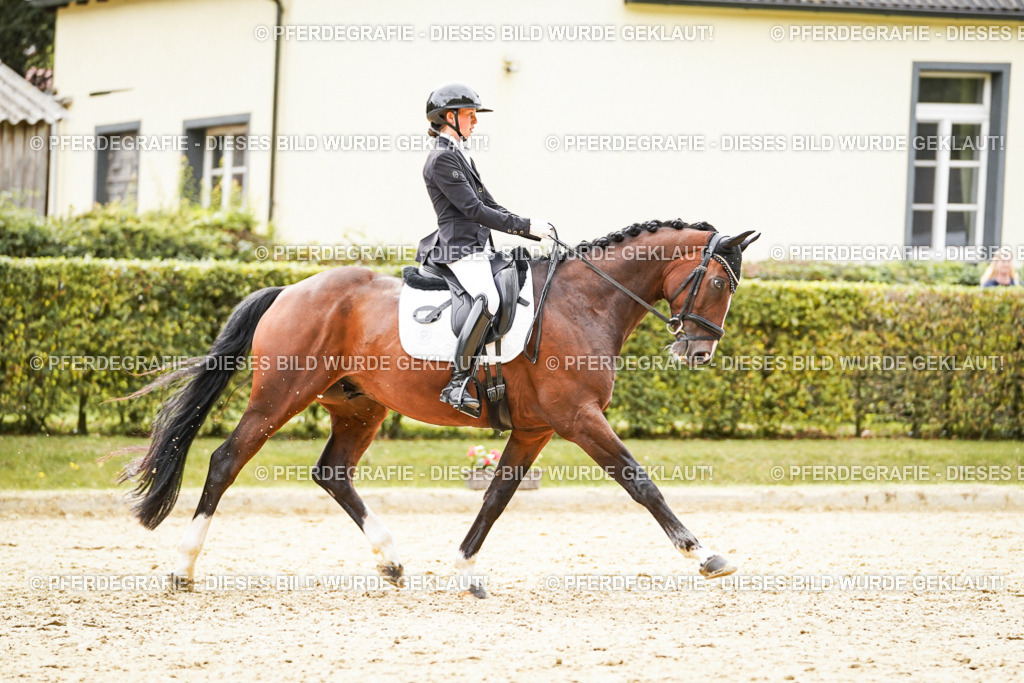 DSC03009 | Pferdegrafie