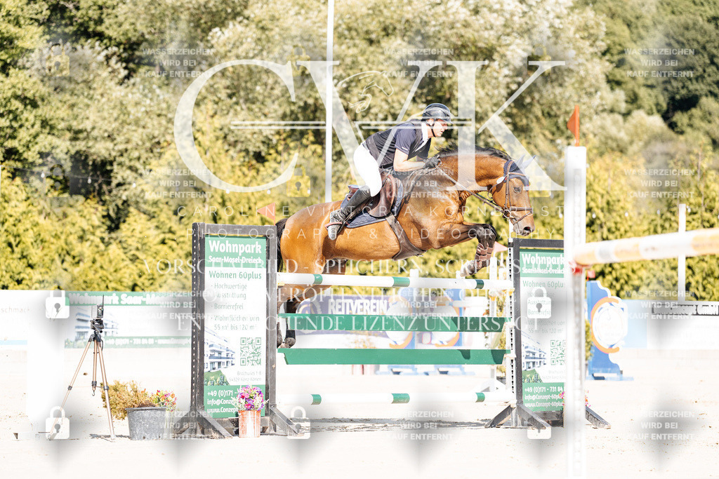 CK909031 | Turnierfotografie Pferdefotografie Trier Rheinland-Pfalz Pferdesport Reitsport Tierfotografie Sportfotografie Pferdevideo Pferdevideografie Equestrianvideography equestrianphotography  - Realisiert mit Pictrs.com