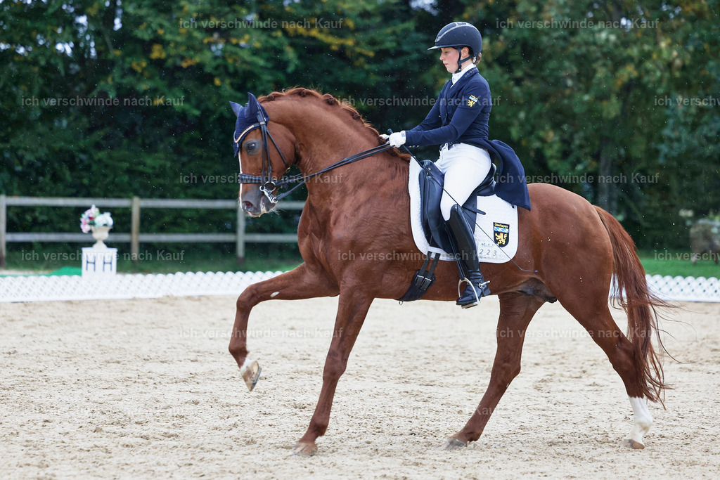 8_1-223-Klasse S_  -StoibPH-3951 | working equitationturnier fotograf videograf stoibphotography marixx film working equitation deutschland reitsport turnierfotografie eventfotografie equestrian events
