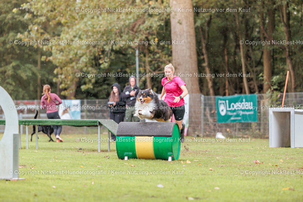 THS-HSV-Blumenthal-2026-Nickbest-Hundefotografie-4152 | Dein Hund! Dein Moment! Deine Erinnerungen! Hundefotografie in Bremen Blumenthal. Ich fange die besonderen Momente deines Vierbeiners ein – ob Indoor mit Blitzanlage oder in der freien Natur. Sicher dir dein Moment und dein Termin für eure Erinnerungen.
