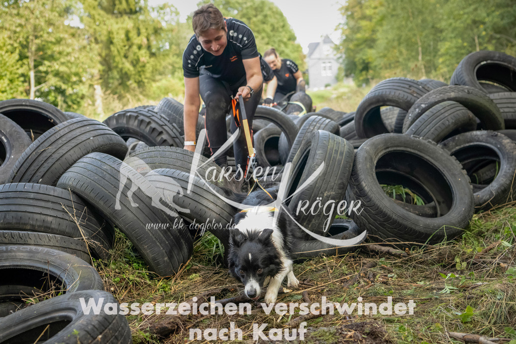 1503_ZZ90984-Bearbeitet | kk-dogfotos