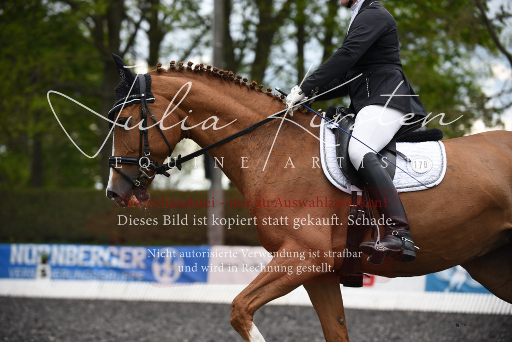 20230513_JK-Röhrsdorf-15-178 | Pferde- und Turnierfotografie in Westsachsen. Pferdeportraits, Auftragszeichnungen und intuitive Kunst.