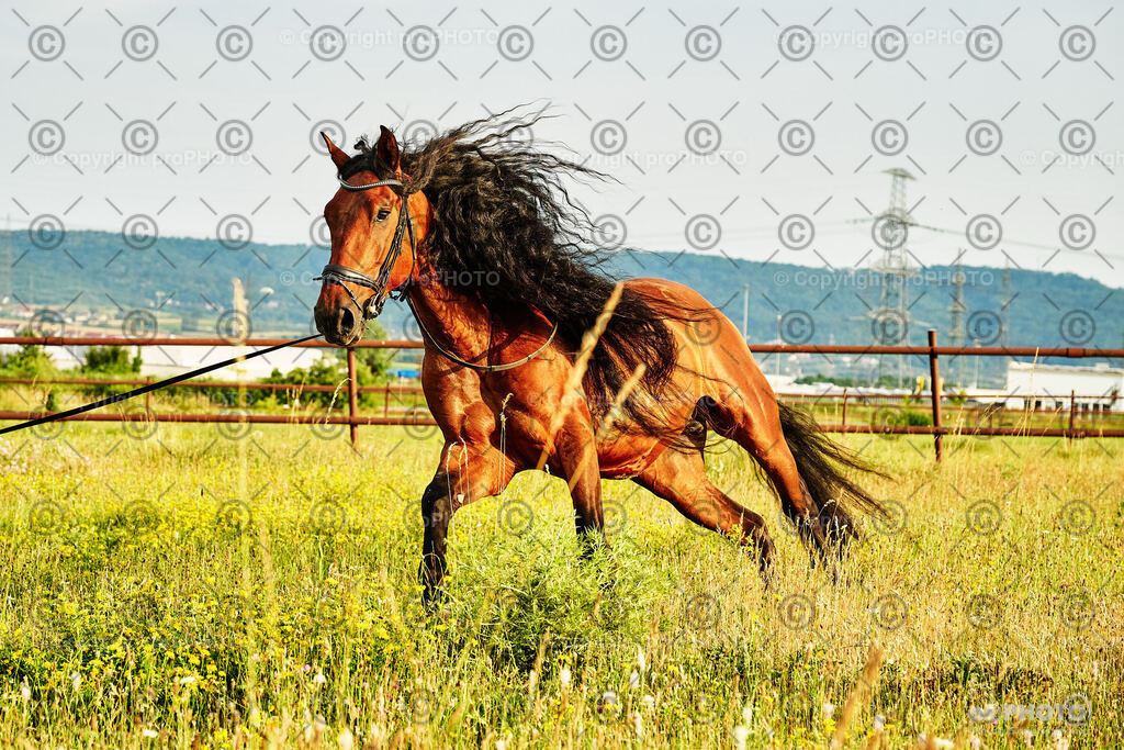 330_202406_Niki-Herodes_NZ9_0300 | proPHOTO - Realisiert mit Pictrs.com