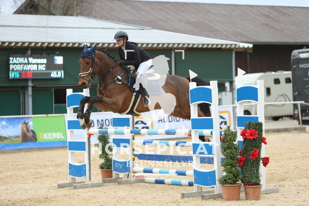 DL2Q7042 | Willkommen bei Brunnmayr - Design & Fotografie – Ihrem Spezialisten für Reitturniere und Pferdeveranstaltungen in Oberösterreich, Salzburg und Bayern! Seit über 17 Jahren sind wir leidenschaftlich dabei.