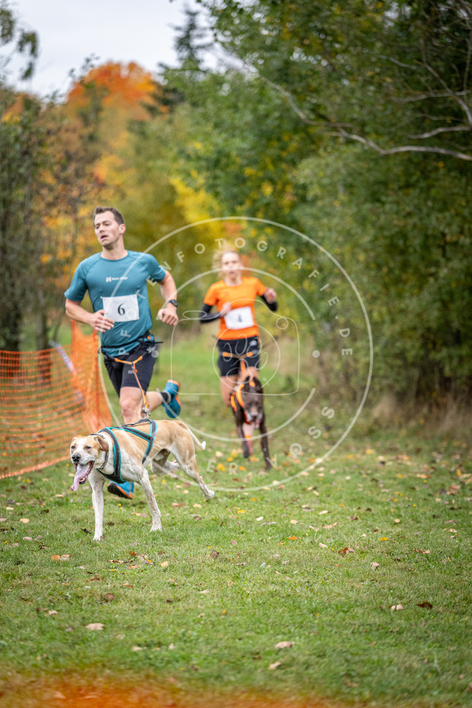 Pfotenfotografie_DV3A1678 | Hundefotografie, Tierfotograf, Pfotenfotografie, Fotoshooting Hund, Hunde Portrait, Hundesport, Hundeportraits, Heideshooting, Hunde, Sportfotograf, Hundefotograf, Turnierhundsport, THS,  - Realisiert mit Pictrs.com