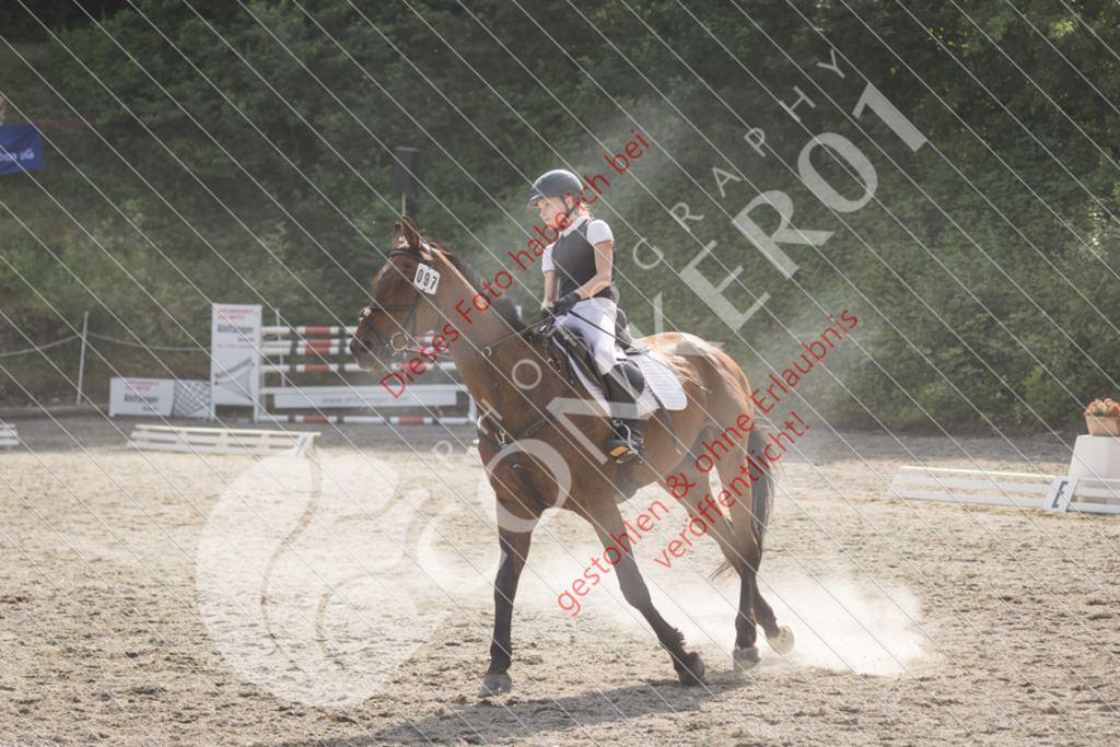 IMG_5841 | Sport-, Event- und Tierfotos in Profiqualität. Einfach auswählen, bestellen und herunterladen. Dein Moment – perfekt festgehalten.