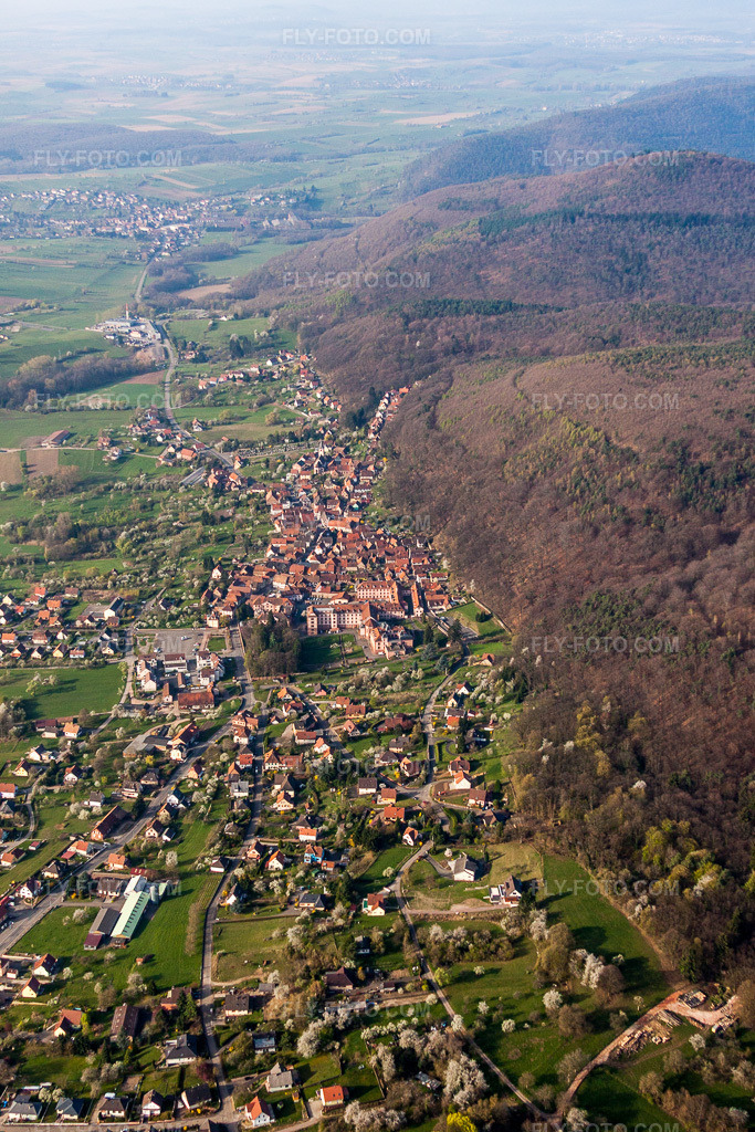 Aerial view: View of the streets and houses in the residential areas in Oberbronn in the state Bas-Rhin, France.Photo: IMG_63723.jpg taken on 03/30/2014 by Werner Riehm/FLY-FOTO.comResolution of the original: 3081 x 4621 px