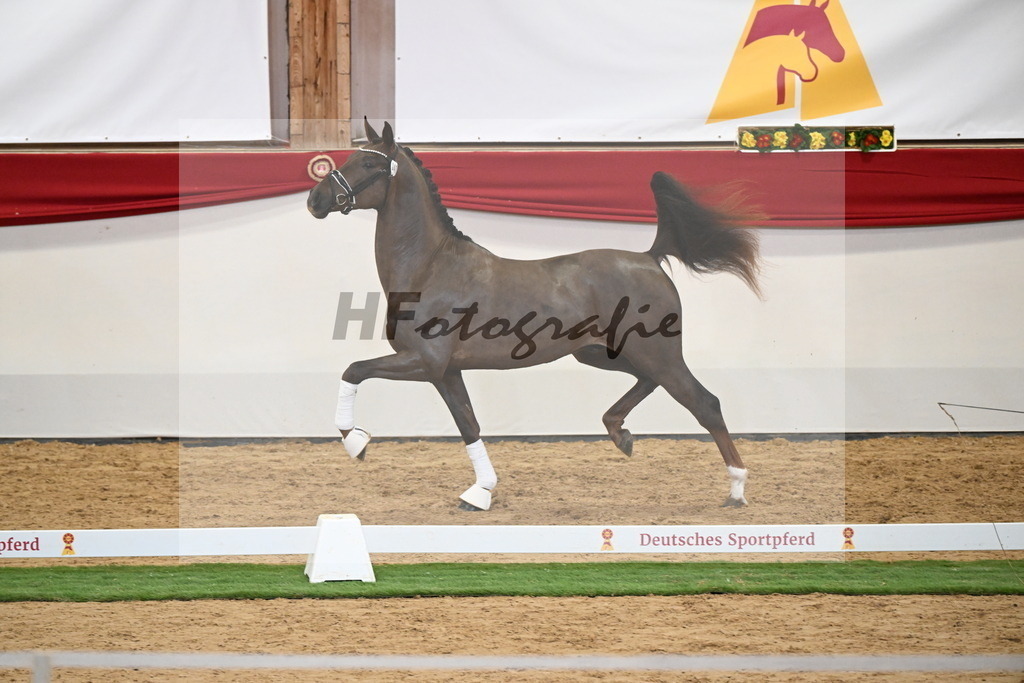 Kat.-Nr. 47 v. Damontez_Pfefferle_2250110 | hf-fotografie - Realisiert mit Pictrs.com