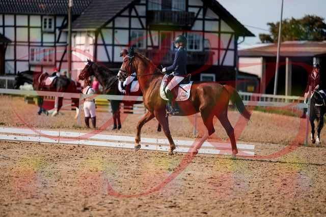 2026_10_03_Siefer-Hof_132808_Z63_87951051 | Professionelle Reitsport-, Turnier- und Eventfotografie von Robert Broda. Galerien mit ausgewählten und bearbeiteten Bildern direkt online ansehen und bestellen.