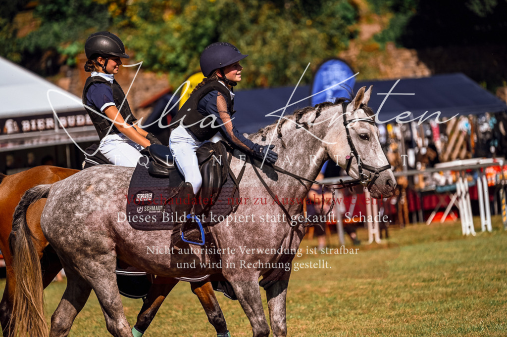 DSC_1207 | Pferde- und Turnierfotografie in Westsachsen. Pferdeportraits, Auftragszeichnungen und intuitive Kunst.