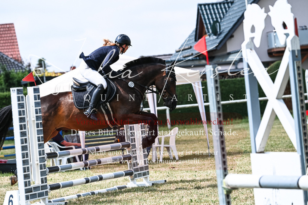 DSC_8873 | Pferde- und Turnierfotografie in Westsachsen. Pferdeportraits, Auftragszeichnungen und intuitive Kunst.