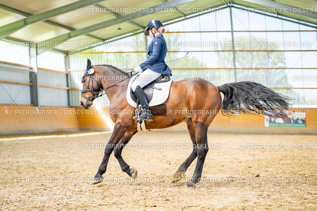 DSC08234 | Pferdegrafie