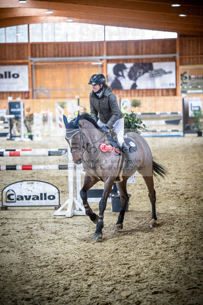 DOS_0065 | Entdecke hochwertige Reitturnierfotos von Foto Oger. Professionell, emotional und authentisch – jetzt Lieblingsmomente im Shop bestellen.Deutschlandweite Turnierfotografie. - Realisiert mit Pictrs.com