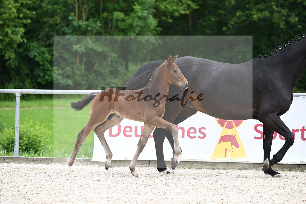 Va Bene x Fidertanz_HF_Koller_20240878 | hf-fotografie - Realisiert mit Pictrs.com