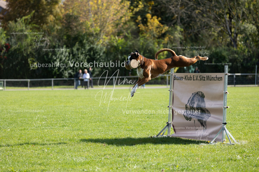 _16A6947 | Einzigartige Fotos von Hunden & Menschen –Actionfotos, Portraits, Vereinsaufnahmen & Paarshootings – authentisch, lebendig & mit Herz.