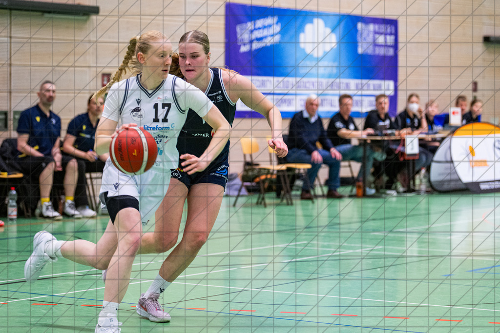 2. DBBL Nord 25/26 | Spieltag 08 | BBC Osnabrück vs. LionPride Braunschweig | 16.11.25: 2. DBBL Nord 25/26 | Spieltag 08 | BBC Osnabrück vs. LionPride Braunschweig / Osnabrück / Deutschland  //   CREDIT:www.bullenfotos.de, Martin König, Hörner Weg 40, D-49078 Osnabrück, +4917663732967 // Nutzung und Weitergabe nur zu den vereinbarten Zwecken. Presseanfragen an Ersteller. Alle Rechte beim Ersteller. Honorierung nach MFM. - Realisiert mit Pictrs.com