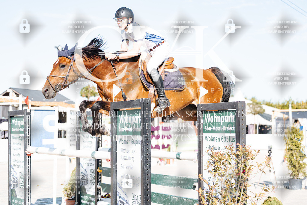 CK904154 | Turnierfotografie Pferdefotografie Trier Rheinland-Pfalz Pferdesport Reitsport Tierfotografie Sportfotografie Pferdevideo Pferdevideografie Equestrianvideography equestrianphotography  - Realisiert mit Pictrs.com