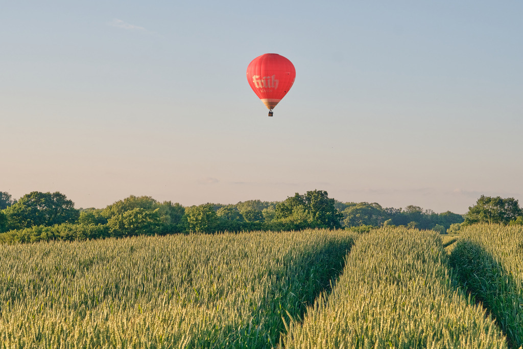DSCF4528 | Entdecken Sie hochwertige Fotoprodukte für Ihr Zuhause, Büro oder als besonderes Geschenk.rpixel.de bietet Ihnen exklusive Fotografien aus den Bereichen Natur, Landschaft und Motiven vom Meer.Einfach direkt im Online-Shop bestellen. - Realisiert mit Pictrs.com