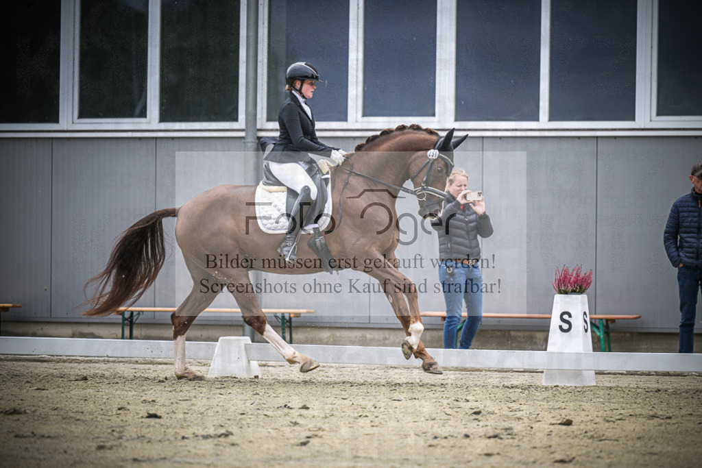 DOS_0776 | Entdecke hochwertige Reitturnierfotos von Foto Oger. Professionell, emotional und authentisch – jetzt Lieblingsmomente im Shop bestellen.Deutschlandweite Turnierfotografie. - Realisiert mit Pictrs.com