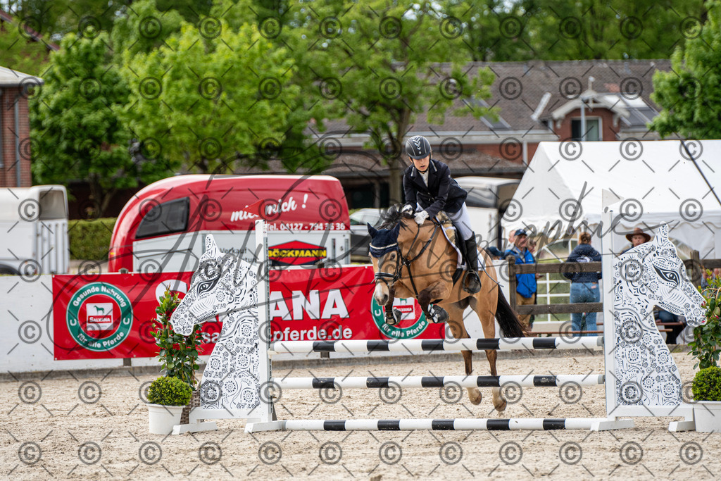 KPT_6920-2 | andre_photographic