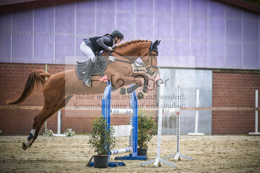 DOS_2430 | Entdecke hochwertige Reitturnierfotos von Foto Oger. Professionell, emotional und authentisch – jetzt Lieblingsmomente im Shop bestellen.Deutschlandweite Turnierfotografie. - Realisiert mit Pictrs.com