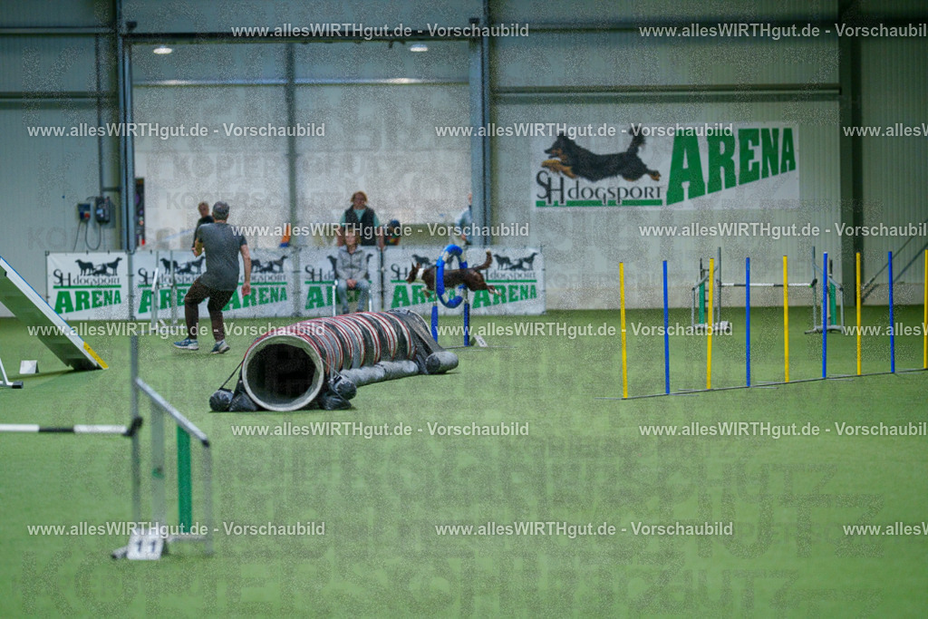 @allesWIRTHgut_Tierfotografie - www.allesWIRTHgut.de - 2604250837-7R507177 | Professionelle Tierfotografie in Mönchengladbach von Daniel Wirth (allesWIRTHgut). Liebevolle & natürliche Bilder von Hunden & Katzen für unvergessliche Erinnerungen.
