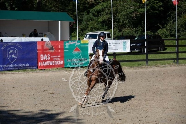 2B4A0421 | pixelfaenger - Realisiert mit Pictrs.com