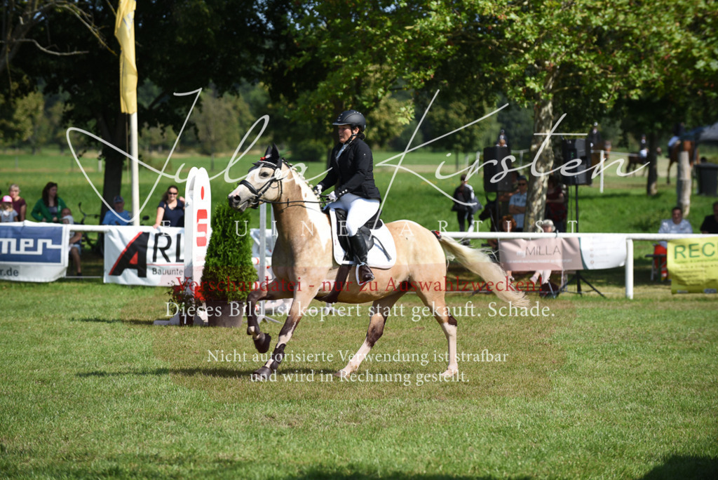 DSC_9087 | Pferde- und Turnierfotografie in Westsachsen. Pferdeportraits, Auftragszeichnungen und intuitive Kunst.