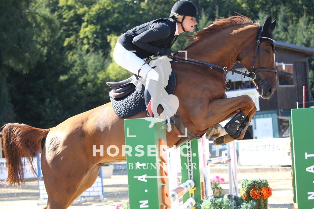 DL2Q2694 | Willkommen bei Brunnmayr - Design & Fotografie – Ihrem Spezialisten für Reitturniere und Pferdeveranstaltungen in Oberösterreich, Salzburg und Bayern! Seit über 17 Jahren sind wir leidenschaftlich dabei.