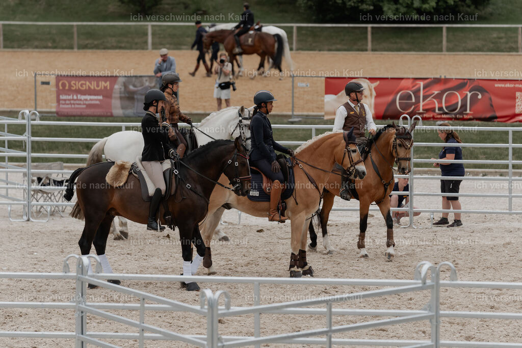 WE__Stoib_Rinder_PI2025_3075 | Pferd International München 2025