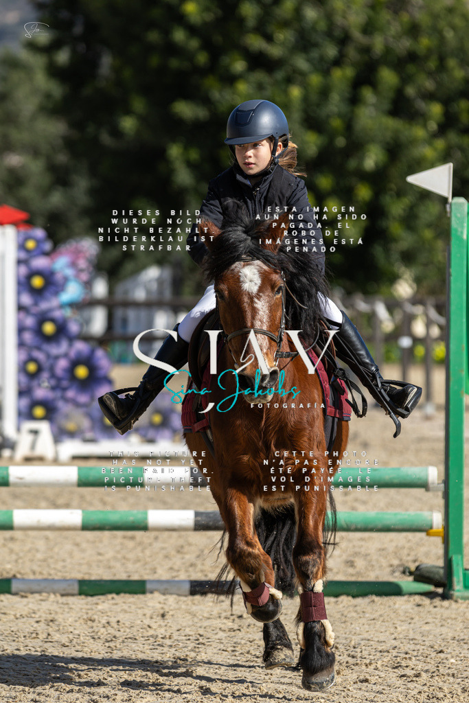 IMG_6005 | s-jay-photography - Realisiert mit Pictrs.com