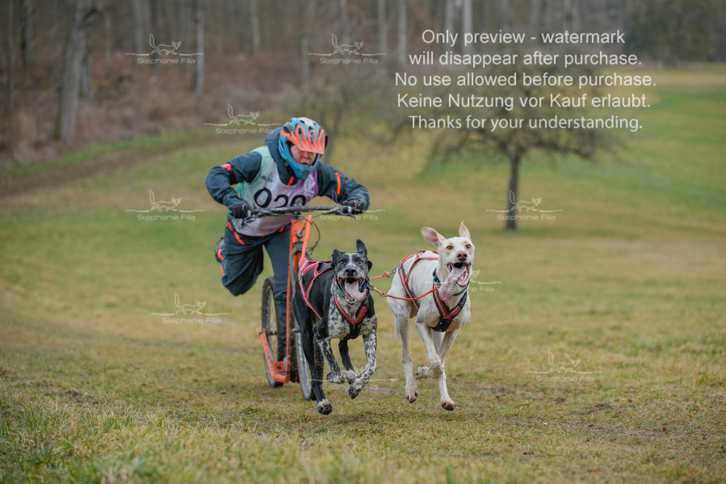 Sa_Scooter2-48 | stephaniefillaphotographie - Realisiert mit Pictrs.com