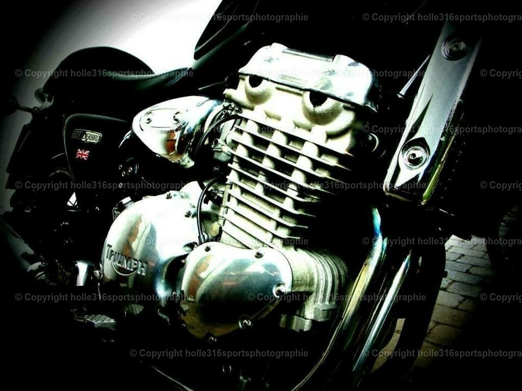 553487_3484746655468_309667970_n | Sportfotografie , Motorsport, Motoross, Reitsport, Mointainbike, Enduro,
Landschaft , Outdoor, Eventfotografie, Landschaft, Bilder online bestellen - Realisiert mit Pictrs.com