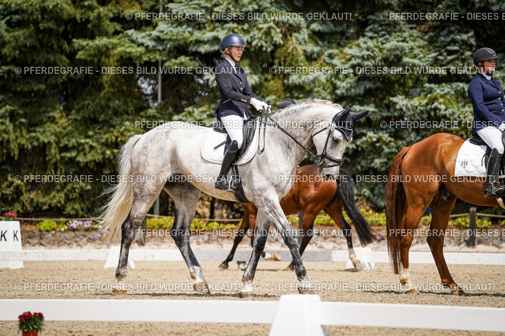 DSC02507 | Pferdegrafie