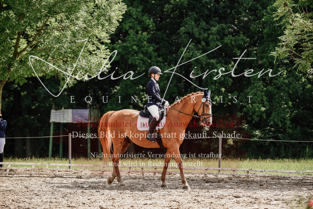 DSC_0003 | Pferde- und Turnierfotografie in Westsachsen. Pferdeportraits, Auftragszeichnungen und intuitive Kunst.