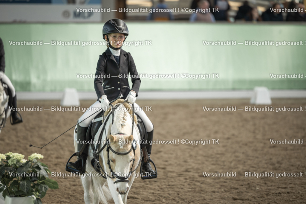 _D5A5716 | Emotionale Pferde- & People-Fotografie rund um Heidelberg, Leimen & Umgebung. Natürliche Fotos von Pferd, Mensch & Familie. Jetzt Termin sichern!