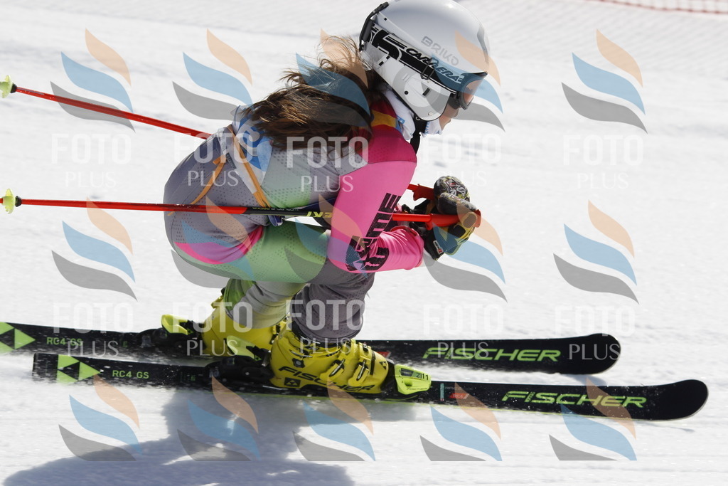 _U3G0612 | holidayphoto