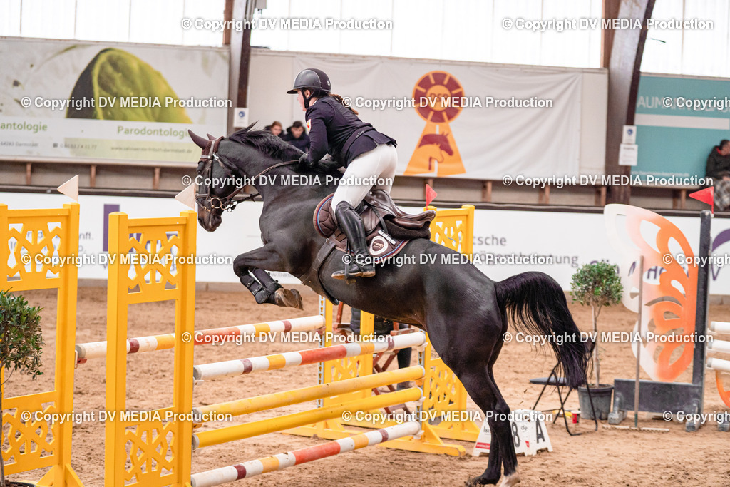 Kranichstein Tag 3-365 | dv-media-shop - Realisiert mit Pictrs.com