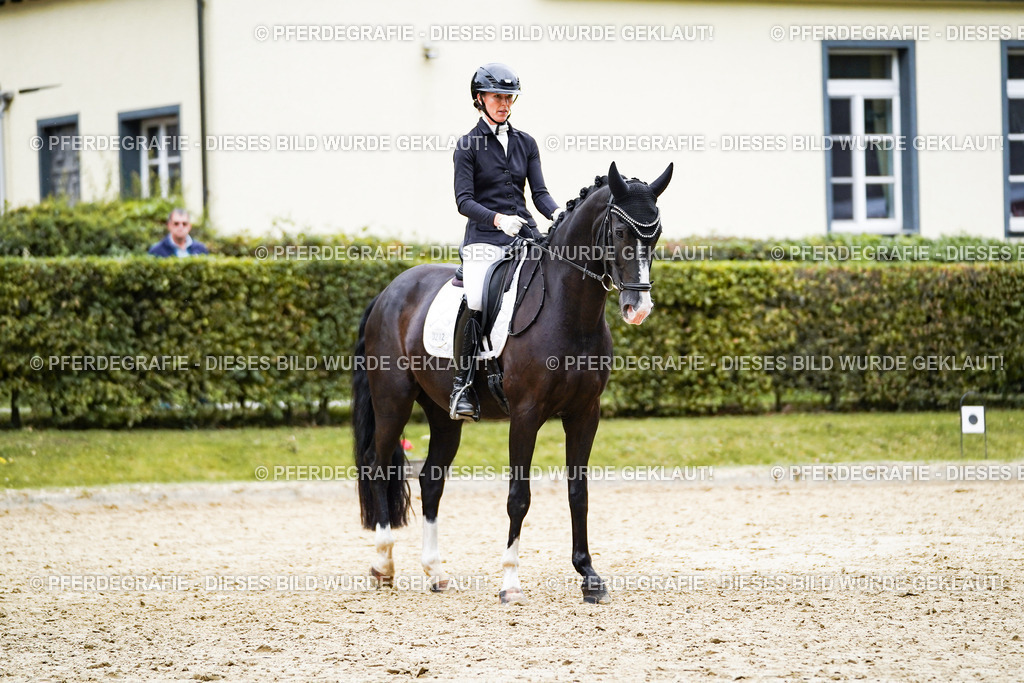 DSC09678 | Pferdegrafie