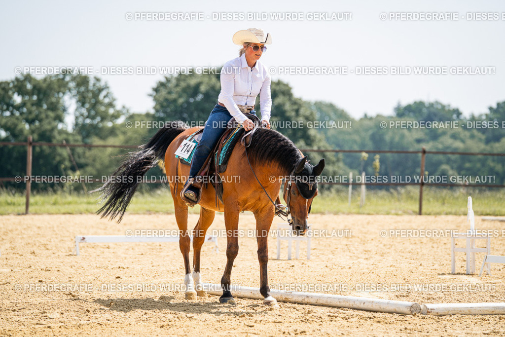 DSC00474 | Pferdegrafie