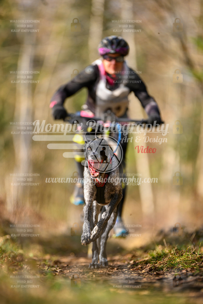 MompixPhotography_6ReiatRennen2026_SO_Bike-4 | PayLife
