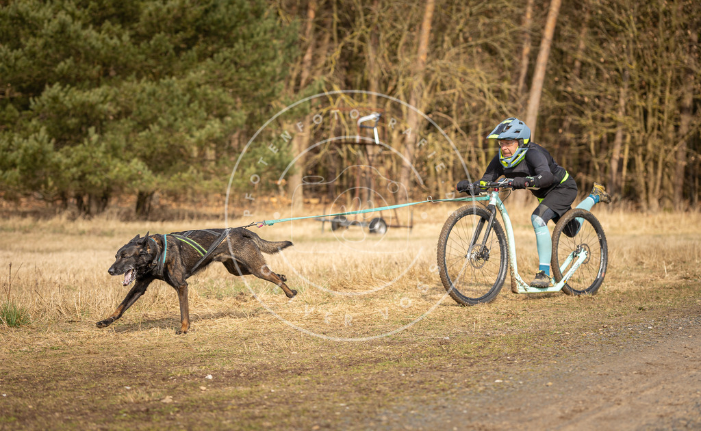 DV3A4721 | Hundefotografie, Tierfotograf, Pfotenfotografie, Fotoshooting Hund, Hunde Portrait, Hundesport, Hundeportraits, Heideshooting, Hunde, Sportfotograf, Hundefotograf, Turnierhundsport, THS,  - Realisiert mit Pictrs.com
