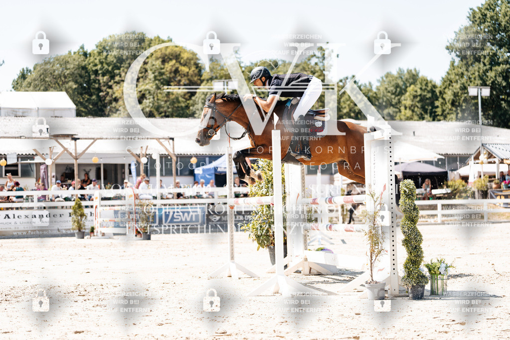 CK909992 | Turnierfotografie Pferdefotografie Trier Rheinland-Pfalz Pferdesport Reitsport Tierfotografie Sportfotografie Pferdevideo Pferdevideografie Equestrianvideography equestrianphotography  - Realisiert mit Pictrs.com