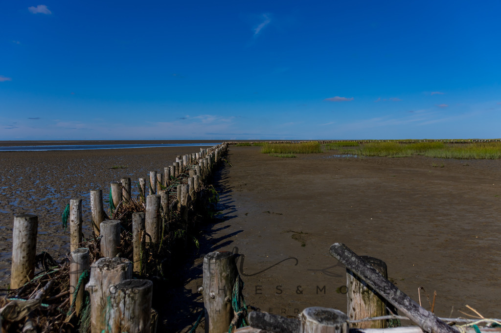 IMGP0345 | Nordseeinsel Mandö - Realisiert mit Pictrs.com