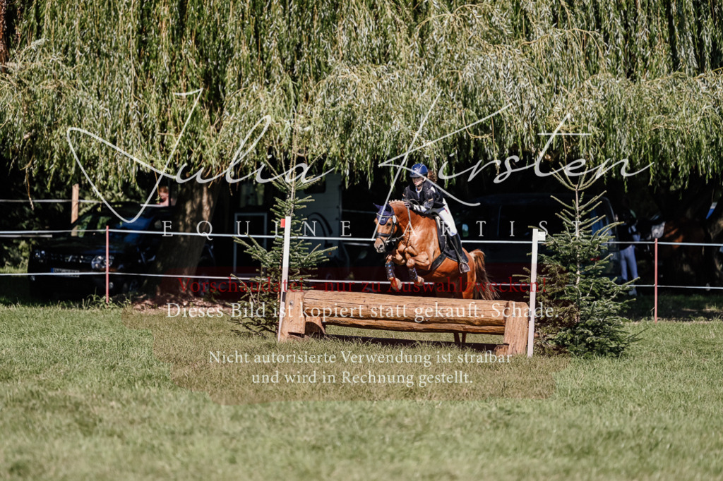 DSC_2984 | Pferde- und Turnierfotografie in Westsachsen. Pferdeportraits, Auftragszeichnungen und intuitive Kunst.