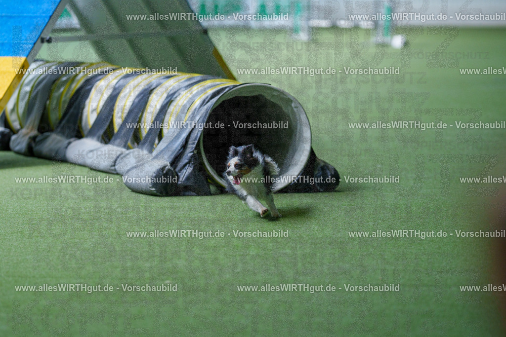 @allesWIRTHgut_Tierfotografie - www.allesWIRTHgut.de - 2604251259-7R503298 | Professionelle Tierfotografie in Mönchengladbach von Daniel Wirth (allesWIRTHgut). Liebevolle & natürliche Bilder von Hunden & Katzen für unvergessliche Erinnerungen.