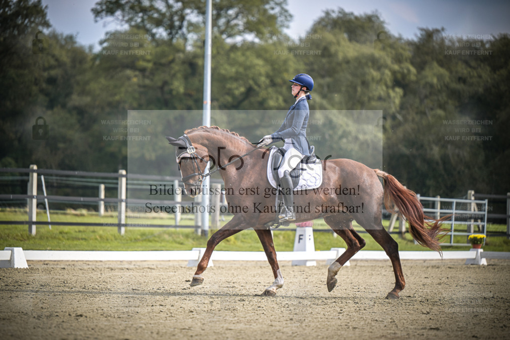 DOS_B637 | Entdecke hochwertige Reitturnierfotos von Foto Oger. Professionell, emotional und authentisch – jetzt Lieblingsmomente im Shop bestellen. - Realisiert mit Pictrs.com