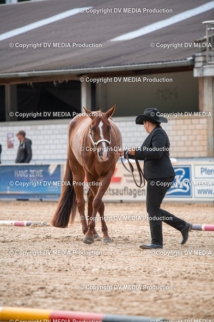 EWP_5510 | dv-media-shop - Realisiert mit Pictrs.com