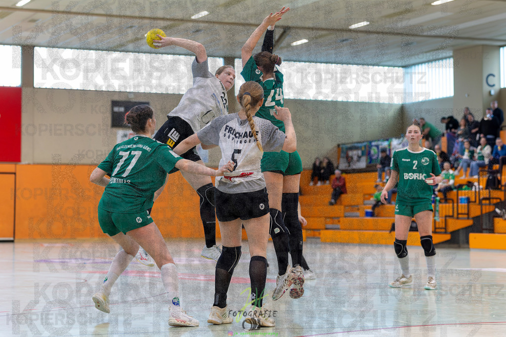 Jugendbundesliga wJA, Pokalrunde, HSG Kleenheim/Langgöns - Frisch Auf Göppingen | Jugendbundesliga wJA, Pokalrunde, HSG Kleenheim/Langgöns - Frisch Auf Göppingen am 28.02.2026 in Oberkleen (Weidig-Halle)Photo © 2026 - Jörg Heinrich - Realisiert mit Pictrs.com