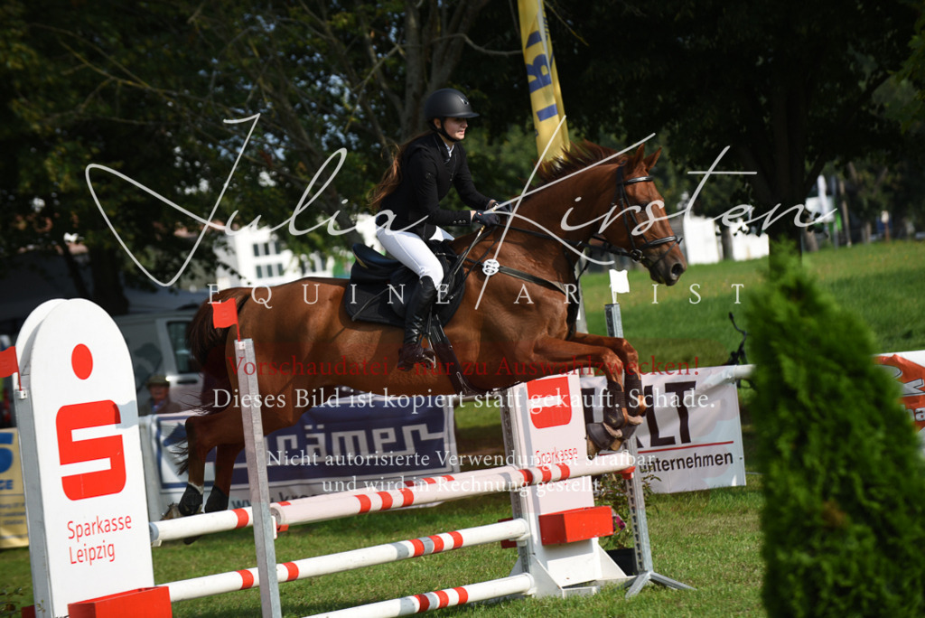 DSC_8778 | Pferde- und Turnierfotografie in Westsachsen. Pferdeportraits, Auftragszeichnungen und intuitive Kunst.